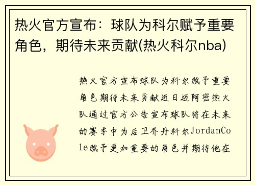 热火官方宣布：球队为科尔赋予重要角色，期待未来贡献(热火科尔nba)